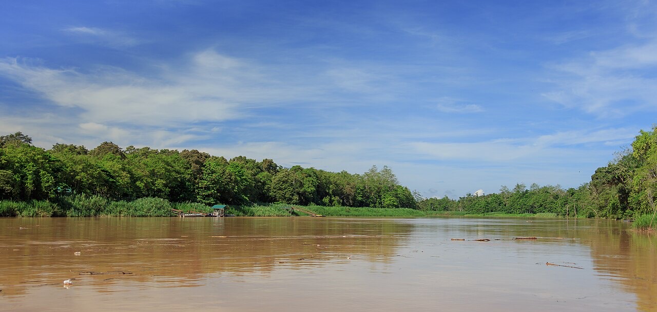 Kinabatangan River winding through the rainforest at Bilit