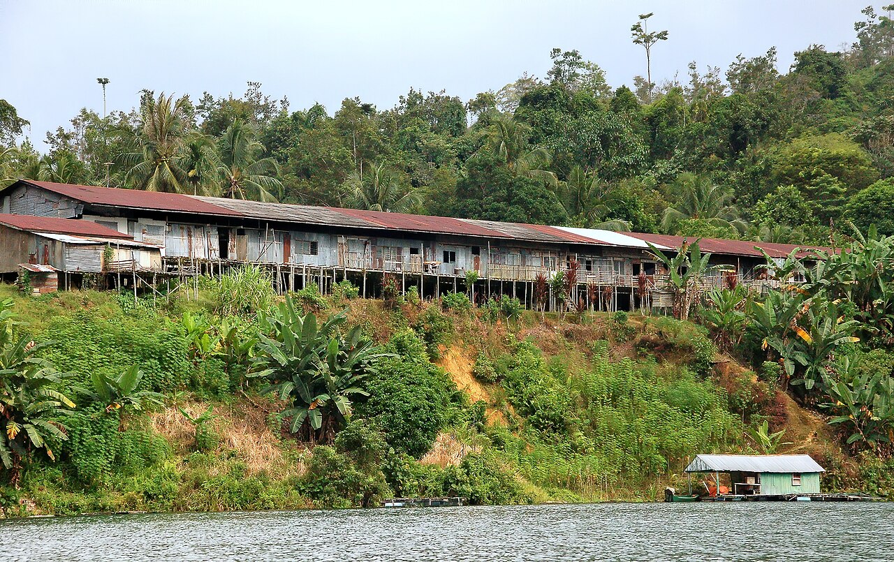 Traditional Iban longhouse on a forested hillside above the river