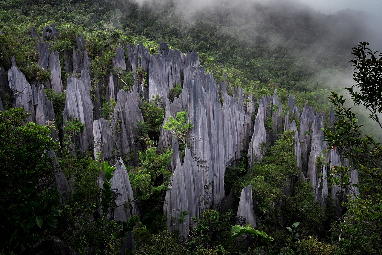 Razor-sharp limestone pinnacles rising above the Mulu rainforest